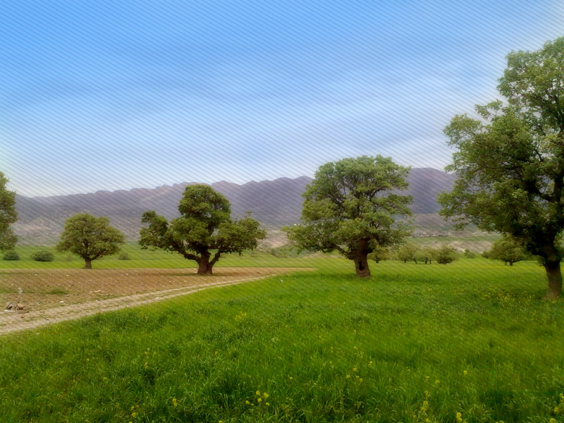 تمامی راه های ارتباطی مراکز تفریحی و تفرجگاه های ایلام مسدود است