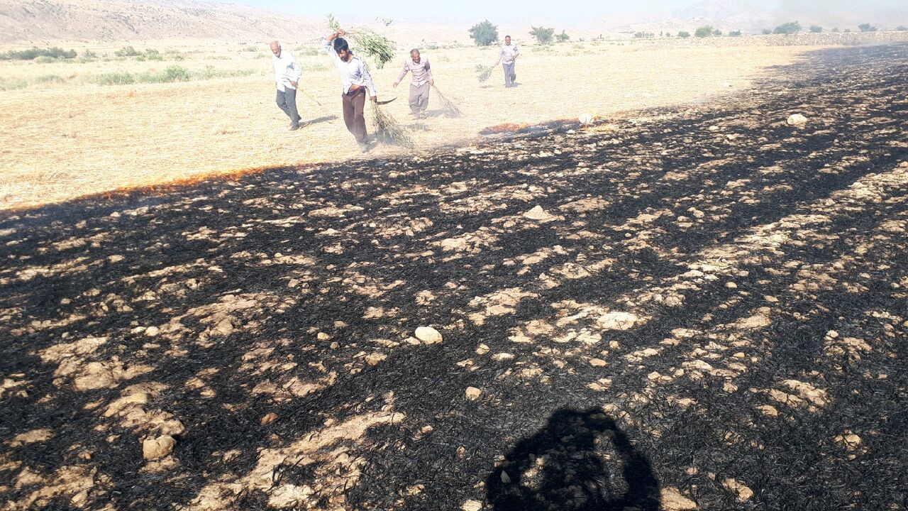 بیش از ۱۵ هکتار مزارع کشاورزی هلیلان طعمه حریق شد