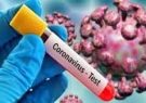 ۹۱ مورد جدید ابتلا به کرونا ویروس در استان ایلام شناسایی شد