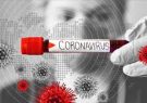 شناسایی ۶۵ مورد جدید ابتلا به کرونا ویروس در استان ایلام