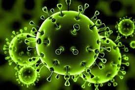 شناسایی  ۴۵۱ مورد جدید مبتلا به کرونا ویروس در ایلام/  بدون مورد فوتی