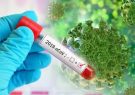شناسایی ۱۶۵ مورد جدید مبتلا به کرونا ویروس / ۳ مورد فوتی