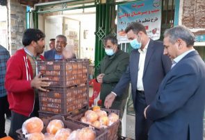 گزارش تصویری| بازدید فرماندار سیروان از بازار این شهرستان