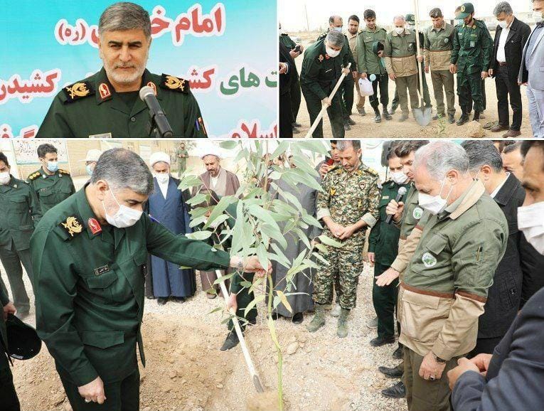 ۱۰۰هزار اصله نهال در هفته منابع طبیعی کاشت می شود