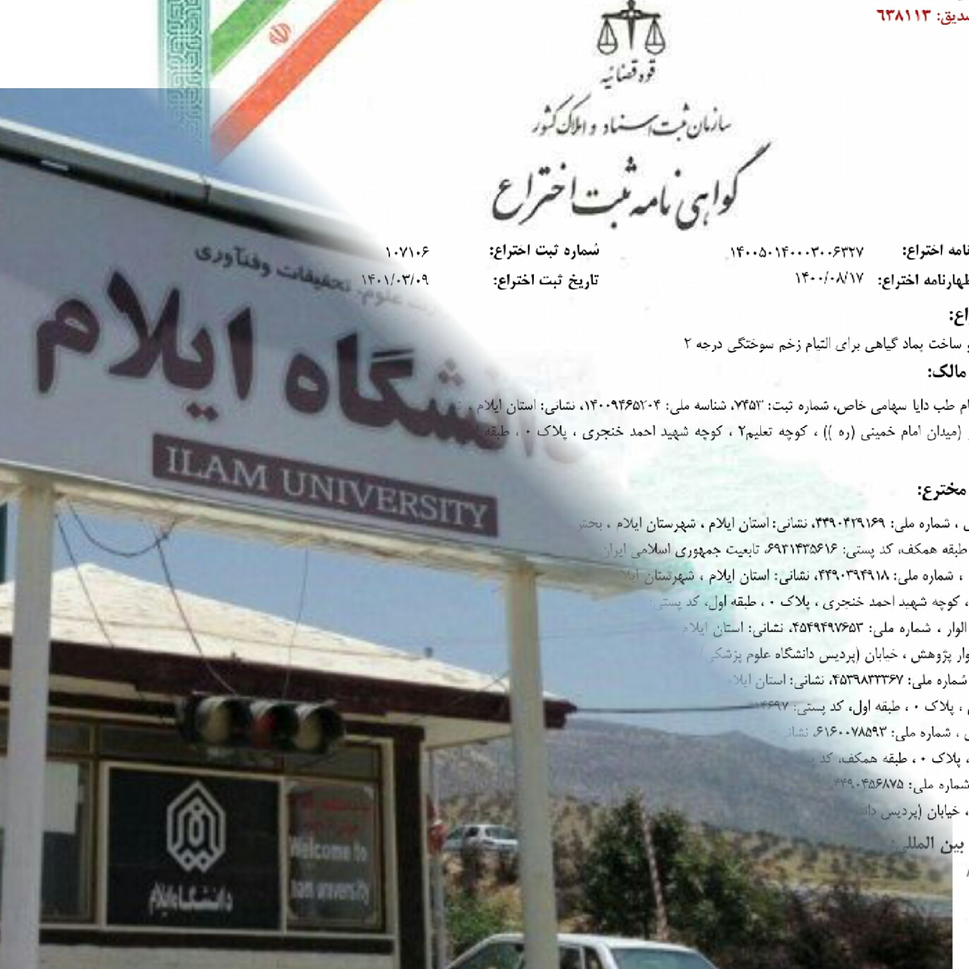 تولید پماد کاملا گیاهی اولین اختراع ثبت شده شرکت دانش بنیان پیشگام طب دایا