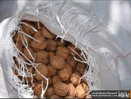 بیش از یک تن گردوی خارجی قاچاق در شهرستان هلیلان کشف شد