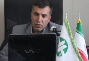 مدیرکل حفاظت محیط زیست استان ایلام منصوب شد