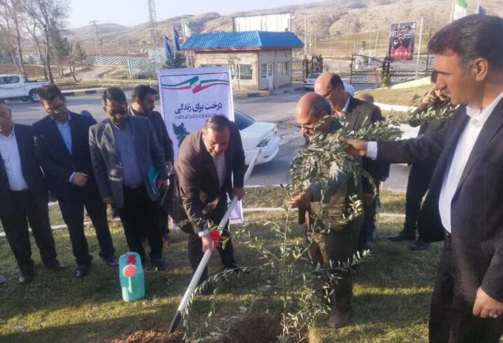 مسیر پل زائر تا نقطه صفر مرزی در مهران درختکاری می شود