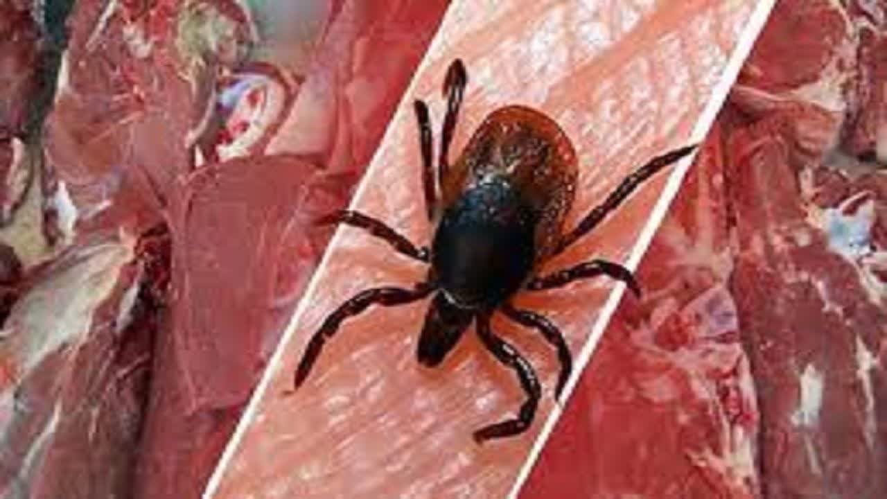دامداران محل نگهداری دام های خود را سم پاشی و ضدعفونی کنند