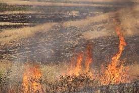 آتش‌سوزی مزارع دهستان مورت مهار شد