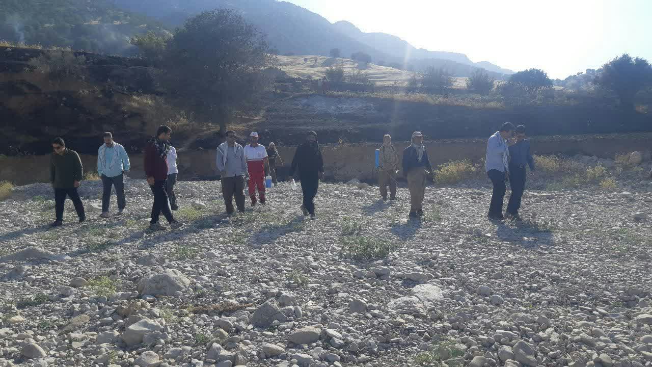 آتش سوزی روستای سفید خانی سیروان مهار شد