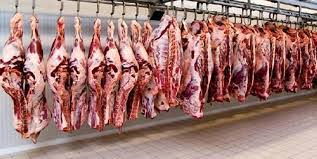 مهمترین راهکار پیشگیری از تب کریمه کنگو خرید گوشت قرمز از مراکز مجاز است