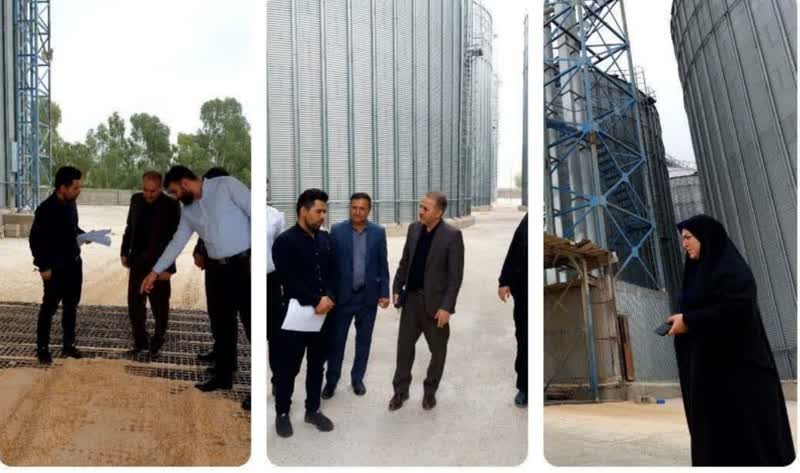 سفر مدیرکل دامپزشکی ایلام به هلیلان / ‏‬ از دیدار با کارکنان دامپزشکی و فرماندار هلیلان تا بررسی سیلوی ذخیره ذرت