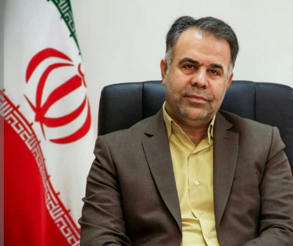 رئیس هیات بازرسی انتخابات استان ایلام منصوب شد