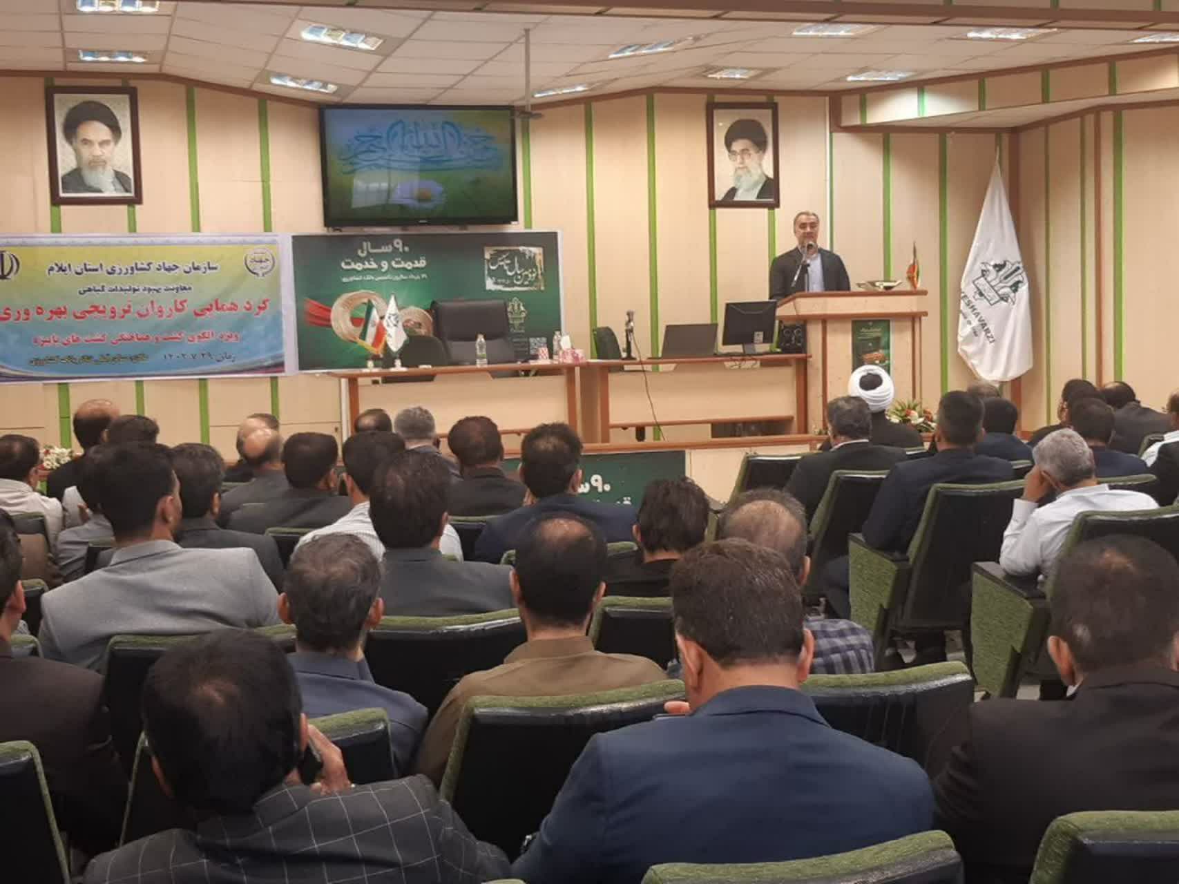 سطح تحت پوشش طرح ملی جهش تولید در دیمزارهای استان ایلام افزایش می‌یابد/ آموزش کشاورزان جدی گرفته شود