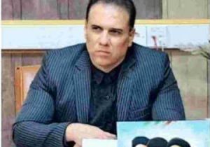 درختان سرو؛ کهنسال‌ترین و دیدنی‌ترین درختان در ایلام