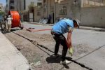 جولان مارهای سمی و دست ساخته، بلای جان ایلامیان/تخریب را فدای تکنولوژی نکنید