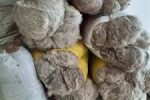 جلوگیری از خروج پشم خام با اجرای طرح از پشم تا فرش