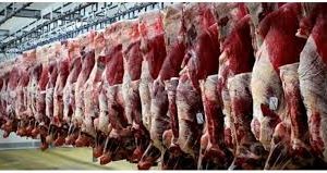 عمده تامین گوشت قرمز ایلام از طریق جامعه عشایر انجام می شود