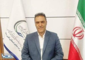 مدیرعامل پتروشیمی ایلام منصوب شد