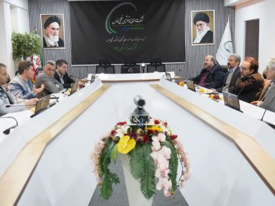 کاهش مصرف ۳۰۰ هزار متر مکعب گاز در پتروشیمی ایلام