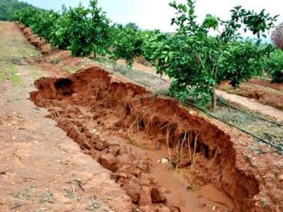 فرسایش خاک در استان ایلام بالای ۱۷ تن در هکتار در سال است