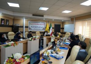 اصلاح الگوی مصرف گاز نیاز به فرهنگ ‌سازی دارد