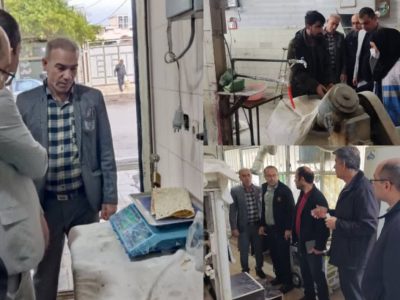 شناسایی پنج نانوایی متخلف در گشت مشترک نظارتی تعزیرات حکومتی دهلران