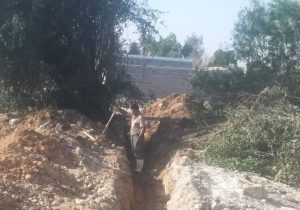 ریشه درختان اکالیپتوس مانع رسیدن آب شرب به بیش از ۵۰ مشترک در روستای “پتک دیناروند” شد