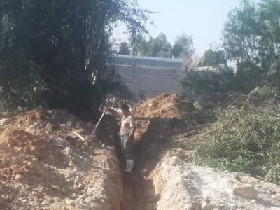 ریشه درختان اکالیپتوس مانع رسیدن آب شرب به بیش از ۵۰ مشترک در روستای “پتک دیناروند” شد