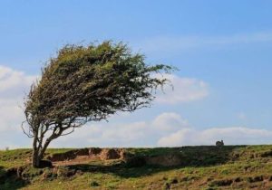 وزش باد شدید در ایلام