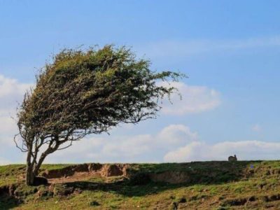 وزش باد شدید در ایلام