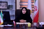 طرح بخشودگی دیرکرد بازگرداندنی کتاب های امانی به کتابخانه های ایلام اجرا می شود