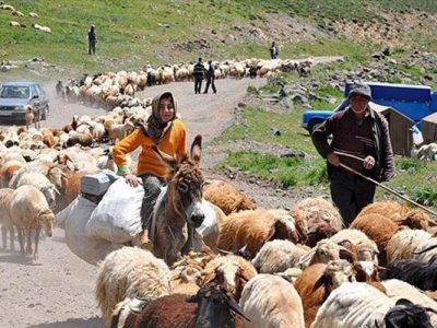 یاسمی:بهسازی ۱۳۰۰ کیلومتر از راه های قشلاقی ایلام آغاز شد