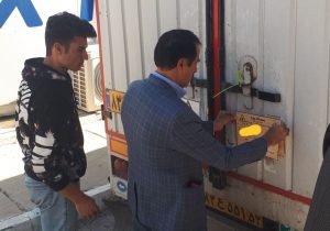 انتقال ۳ تن داروی تاریخ مصرف گذشته جهت بی خطرسازی و امحاء، با نظارت محیط زیست