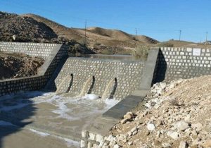 خانمحمدیان: ۵۳ هزار هکتار از اراضی ایلام نیازمند اجرای آبخیزداری هستند