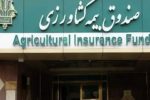 پرداخت ۱۵ هزار میلیارد ریال غرامت به کشاورزان خسارت دیده