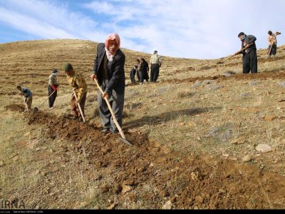 فرهادی: احیا و اصلاح مراتع در ۲ هزار هکتار از اراضی دهلران اجرا می شود