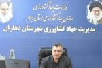 آغاز برداشت نخستین  مزرعه سبزی خورشتی در دهلران ،گامی در راستای تنوع‌بخشی به الگوی کشت