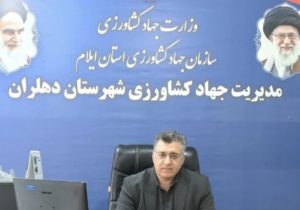 آغاز برداشت نخستین مزرعه سبزی خورشتی در دهلران ،گامی در راستای تنوعبخشی به الگوی کشت