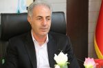 احمدی: ۳۵۰ میلیون اصله نهال در کشور غرس شده است