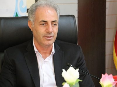 احمدی: ۳۵۰ میلیون اصله نهال در کشور غرس شده است
