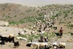 یاسمی: بازگشایی فاز نخست راه‌های عشایری ایلام آغاز شد