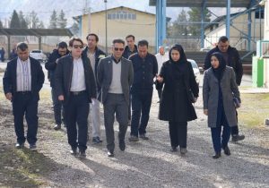 رفع موانع عملیاتی و پشتیبانی، اولویت اصلی شرکت گاز استان ایلام است