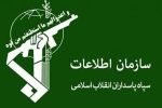 دستگیری تعدادی از عناصر مسلح تروریستی در استان ایلام