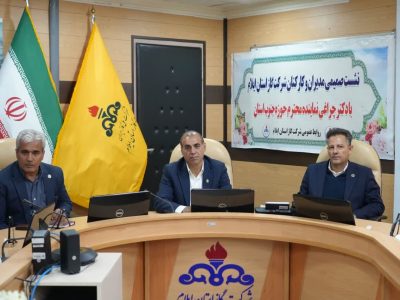 پایداری شبکه گاز در استان ایلام، نیازمند تأمین اعتبار ویژه است