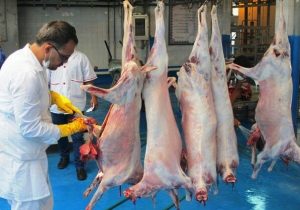 ۸ اکیپ ثابت و سیار دامپزشکی بر بازار دهلران نظارت دارند