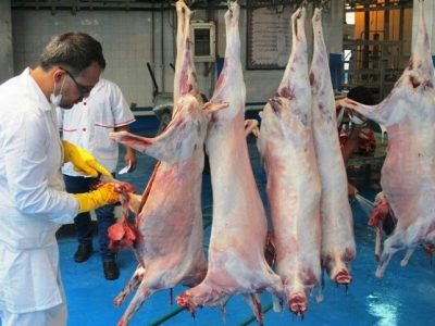 ۸ اکیپ ثابت و سیار دامپزشکی بر بازار دهلران نظارت دارند