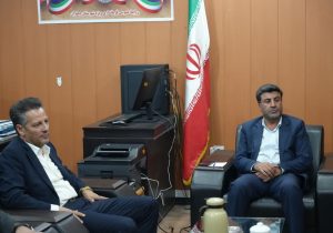 پیشرفت ۵۰ درصدی پروژه فاز اول گازرسانی به مرز چیلات/ دهلران در جمع شهرستان‌های سبز ایلام