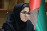 برخورد قاطع با عرضه غیرقانونی شیرخشکهای یارانهای در ایلام؛ مسیر عرضه غیرمجاز مسدود شد